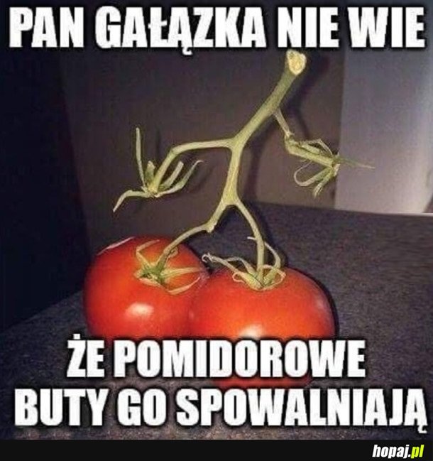 ŻYCIE W NIEWIEDZY