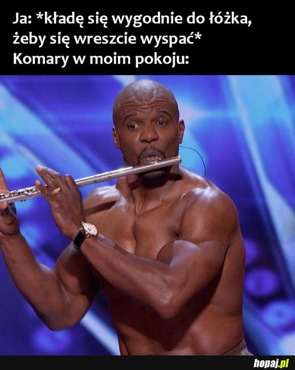  Komary