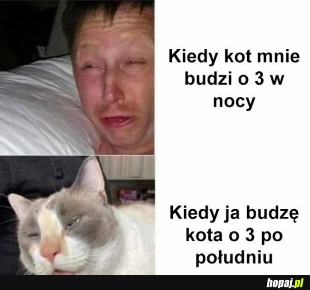 Pobudka