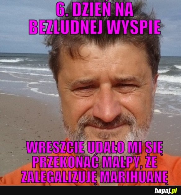 Janusz