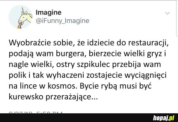 Nigdy na to nie patrzyłem od tej strony...