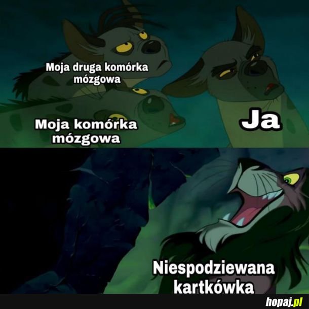 Kartkówka 