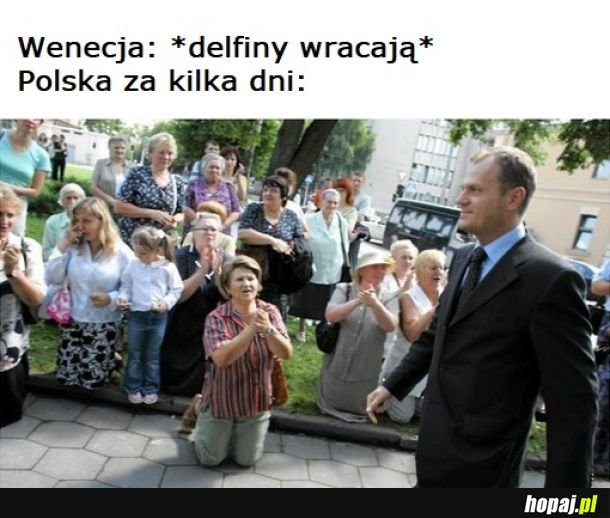 Donald wróć!