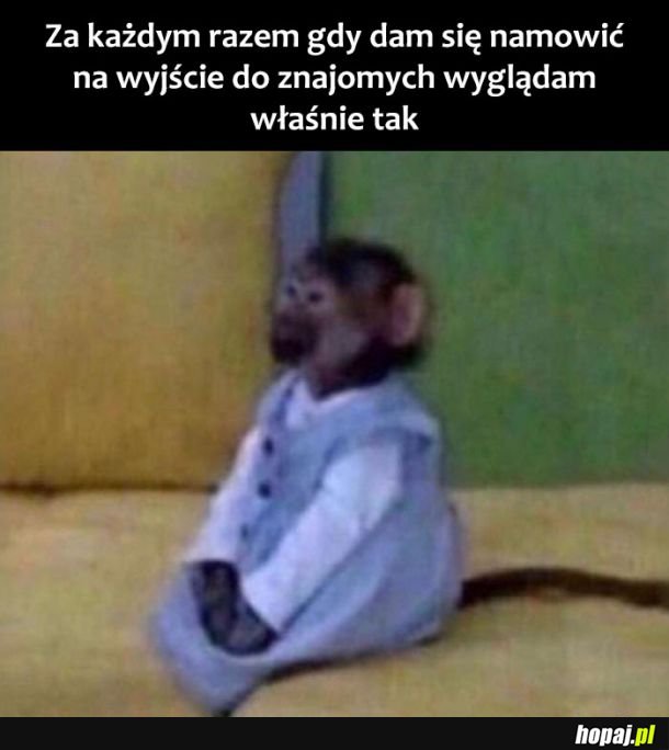  Dokładnie tak 