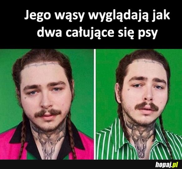 Widziałeś już wszystko