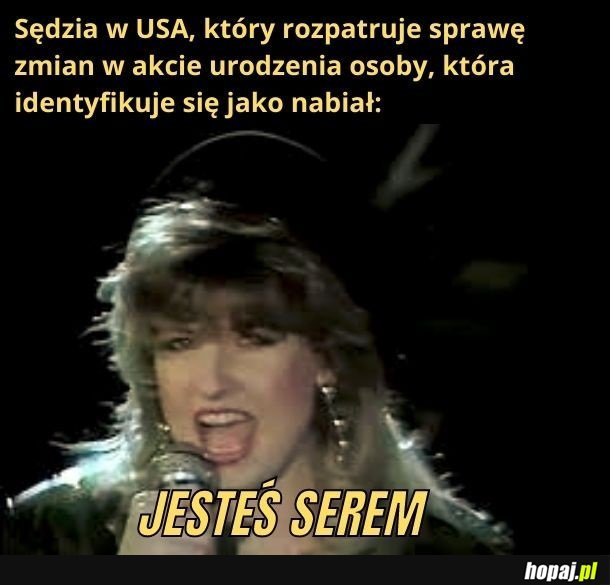 Jesteś serem