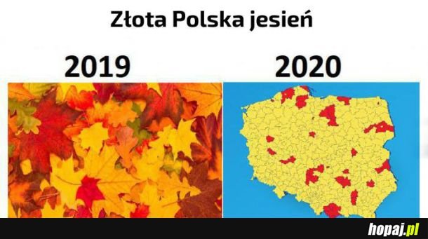Złota jesień