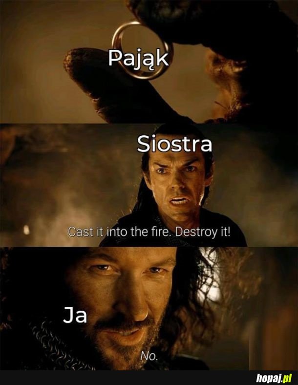 Pająk