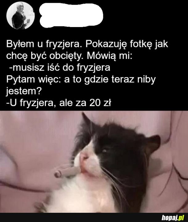 Wizyta u rzemieślnika włosów