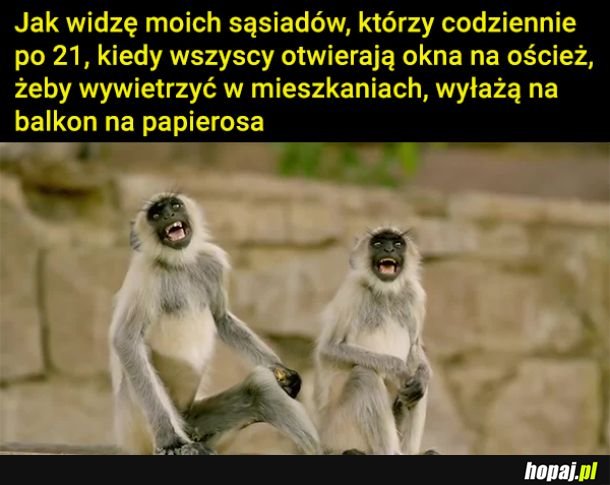 Najgorszy sort sąsiadów