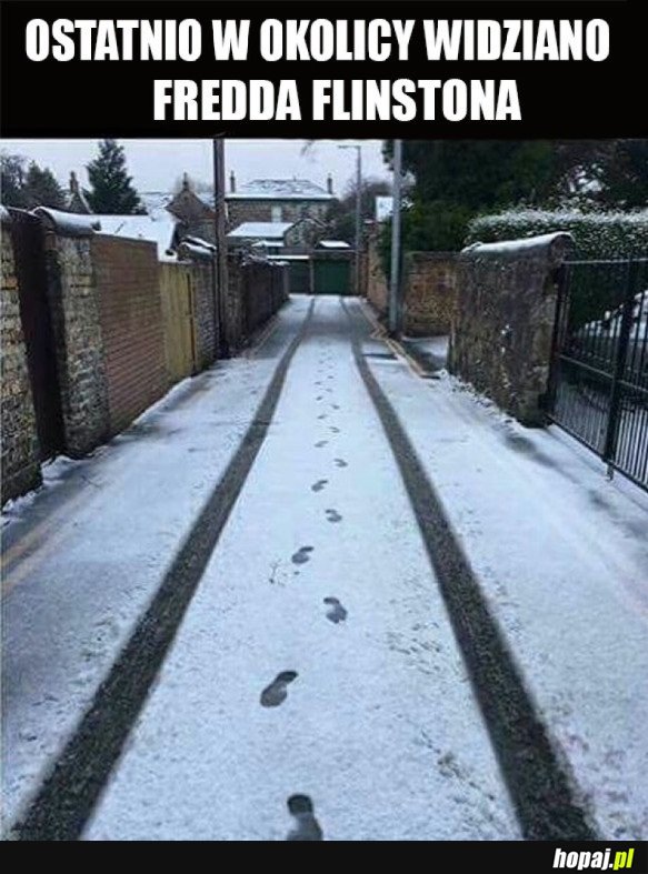 YABADABADOO