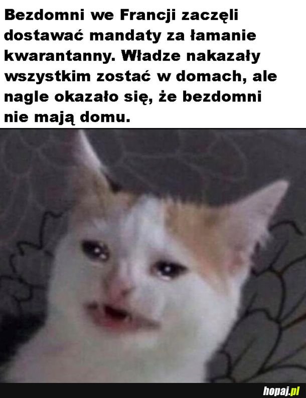 Odkrycie roku
