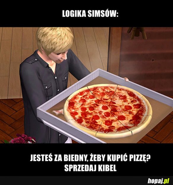 Logika Simów