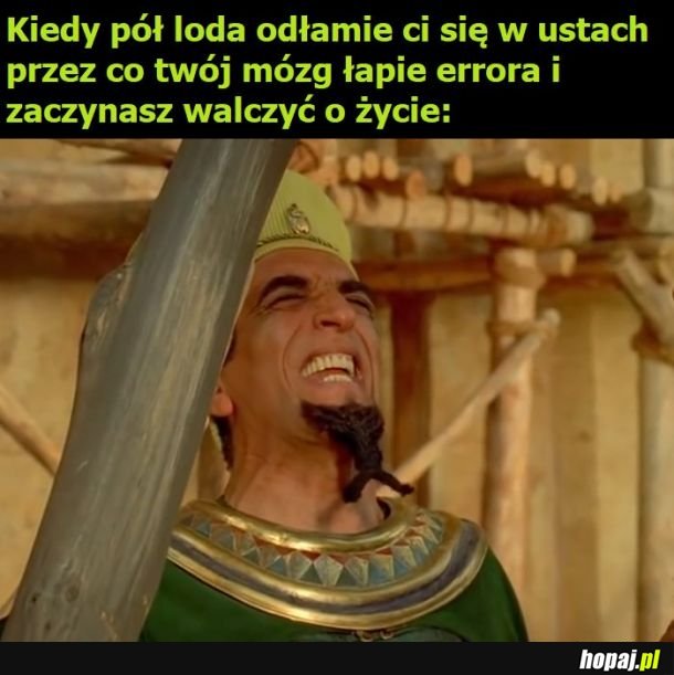 Zawsze