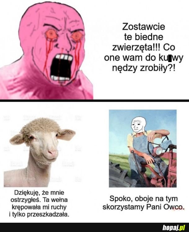 Owieczka