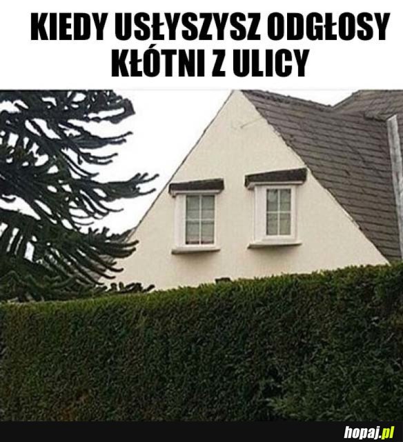 MUSZĘ WIEDZIEĆ CO SIĘ DZIEJE