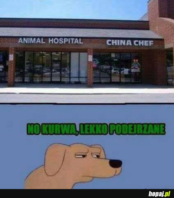 MOŻNA BYĆ PEWNYM, ŻE MIĘSO BĘDZIE ŚWIEŻE!