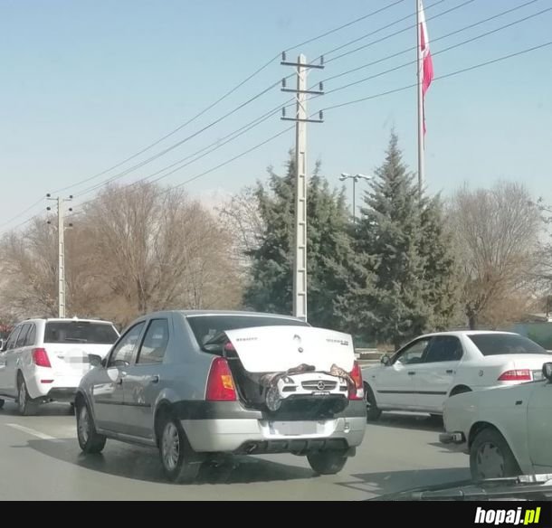Ten biedny Renault zaczął rodzić Mercedesa zanim dojechał do najbliższego mechanika. Biedny :/