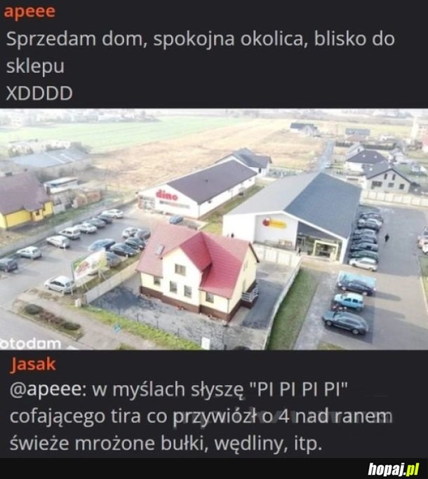 Cicha radość