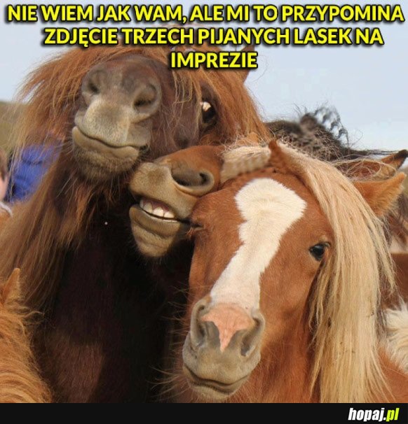 LASKI TAKIE SĄ