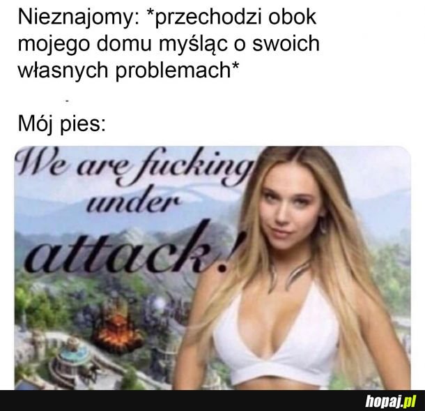 Psy takie są