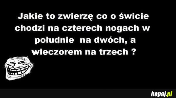 Jakie to zwierzę?