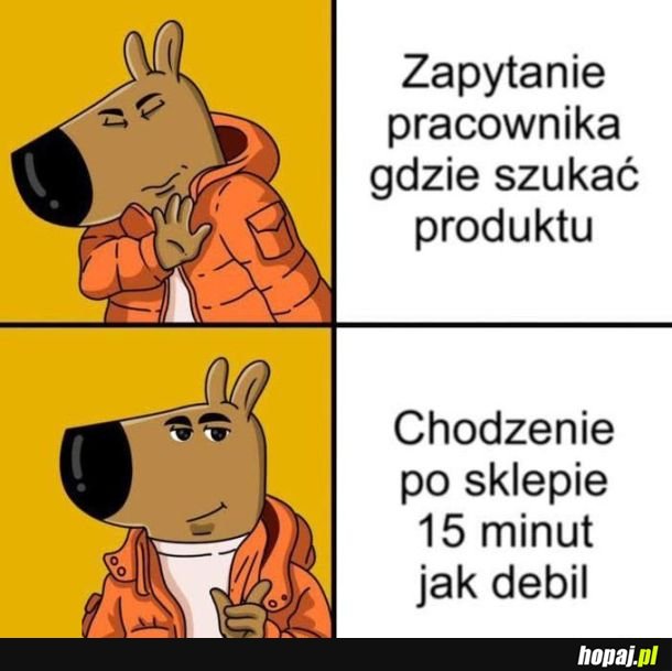 Są pewne zasady