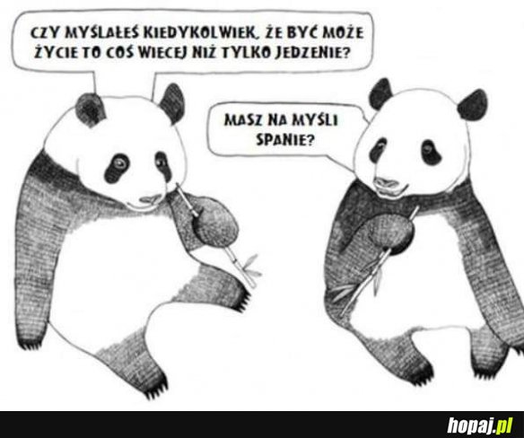 A Ty myślałeś?