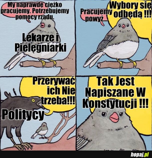 Politycy mają ważniejsze sprawy.