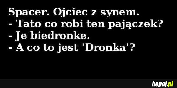 Co robi ten pajaczek?