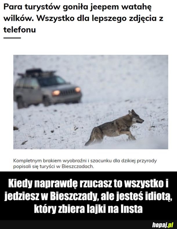 Debilizm poza skalą