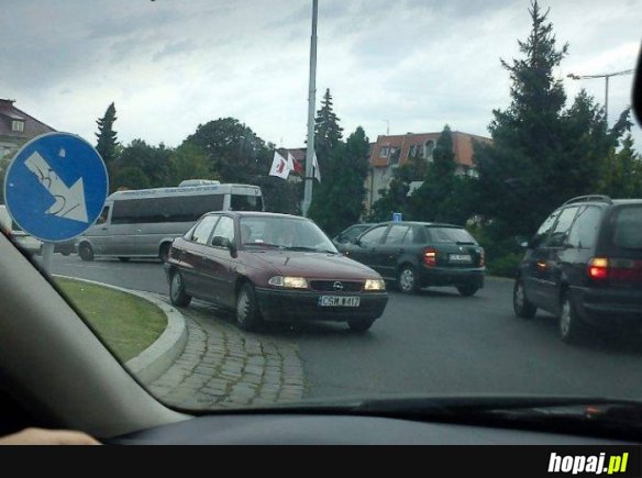 Antysystemowiec