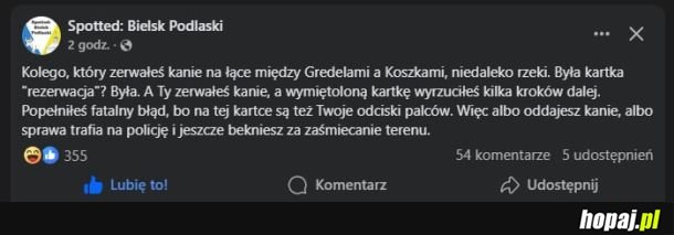 Podlaskie afery