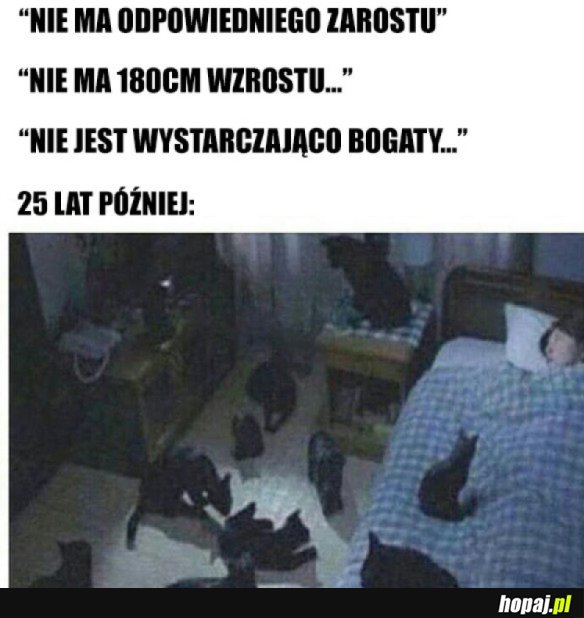 KTO WYBRZYDZA...