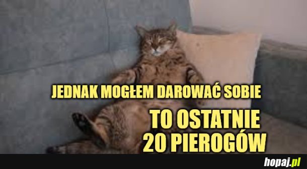 No mogłem.