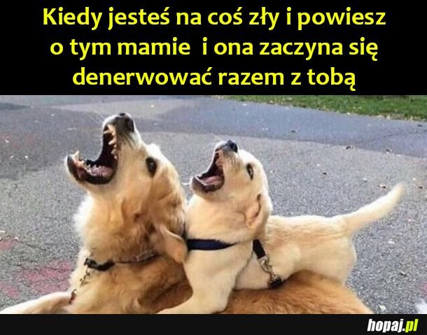 Razem raźniej