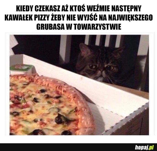 NIE CHCĘ WYJŚĆ NA GRUBASA