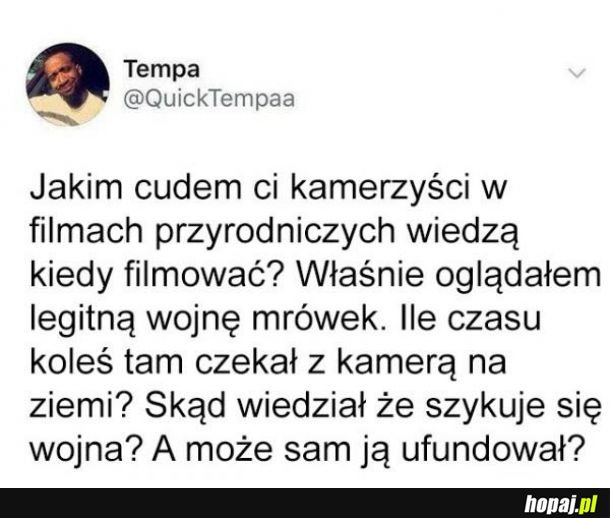 Kamerzyści w filmach