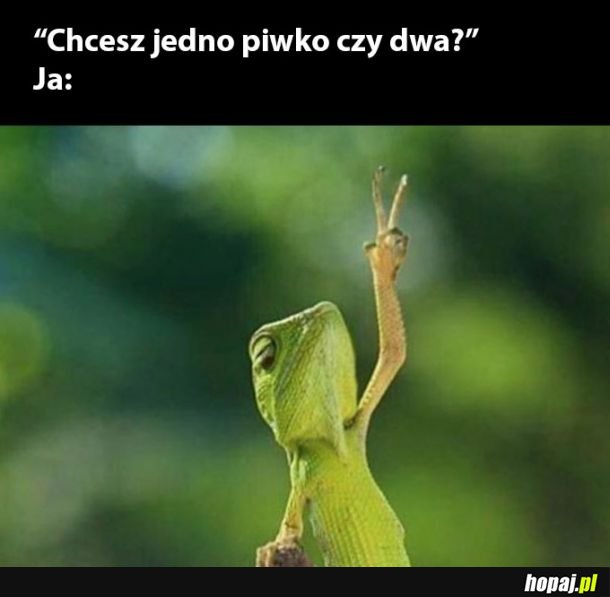 Odpowiedź może być tylko jedna 