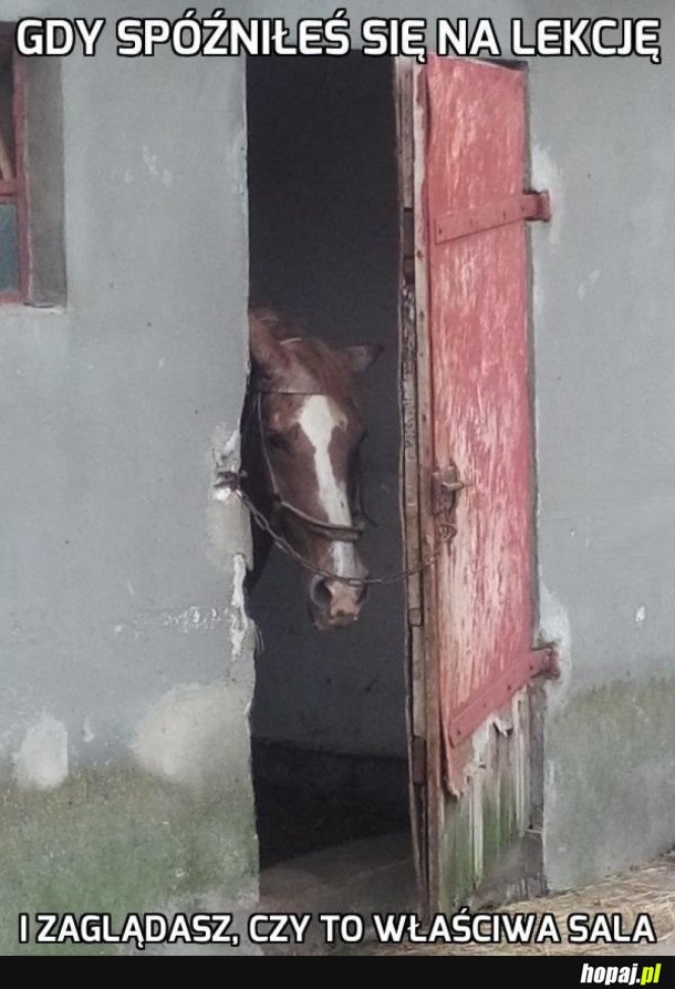 KIEDY SIĘ SPÓŹNISZ