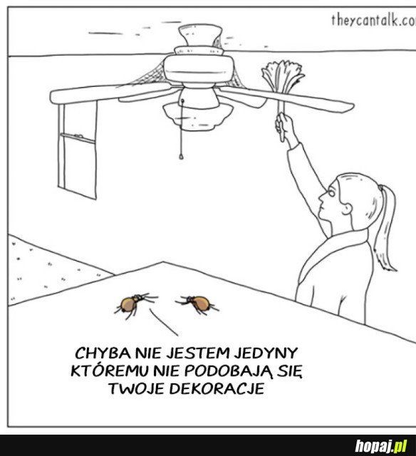 PAJĘCZE GUSTA