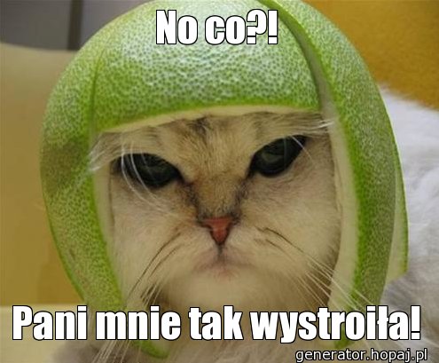 No co?!