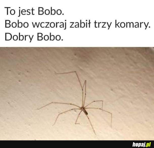 A krzyczą na niego i próbują zabić