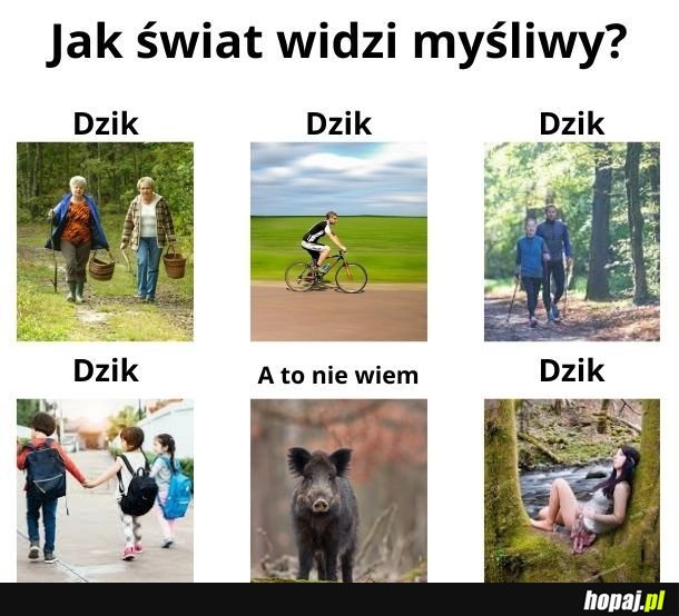 Świat wg. myśliwego