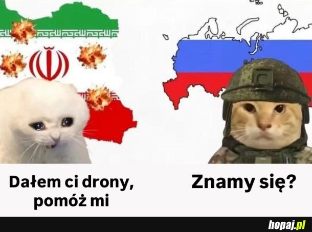 Sojusznicy do końca