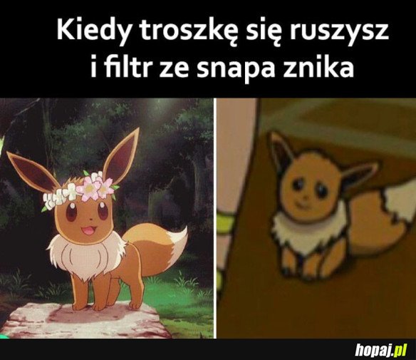 FILTR ZE SNAPA