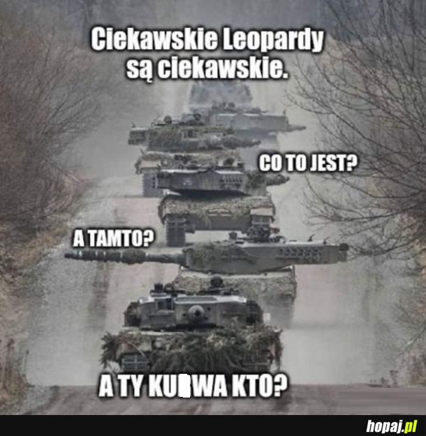 Ciekawskie leopardy