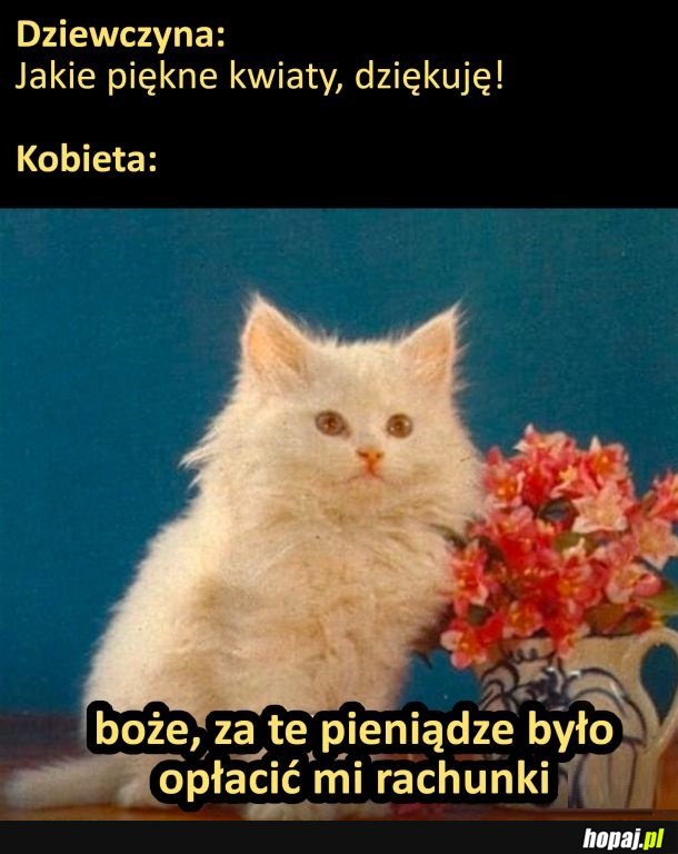 Trzeba było opłacić mi rachunki