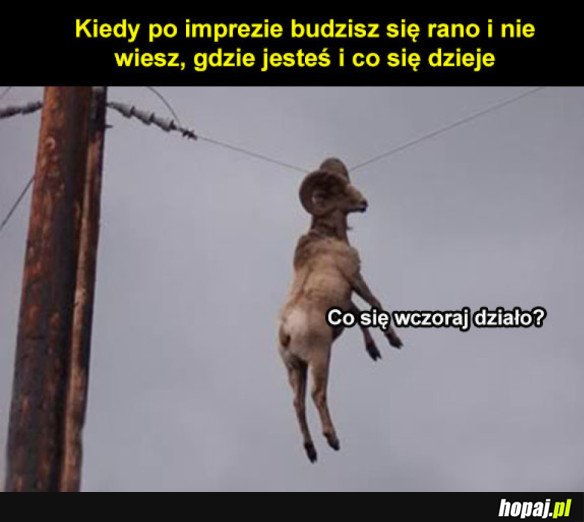Gdzie ja jestem?
