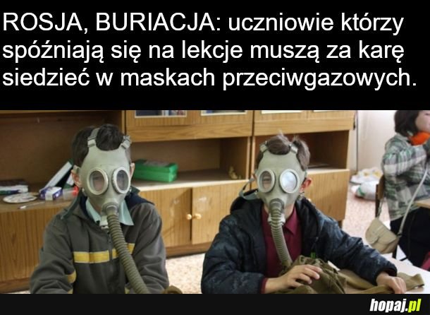 Idź swoja drogą stalkerze